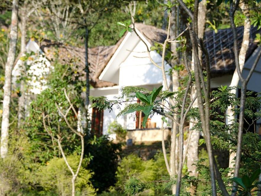 Niraamaya Retreats Cardamom Club Thekkady Exterior foto